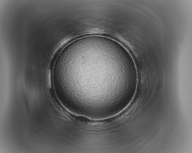 X0000116571171200912171458