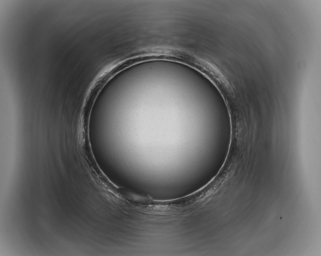 X0000116571172200912171458