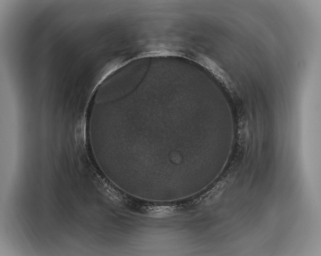 X0000116571173200912171458