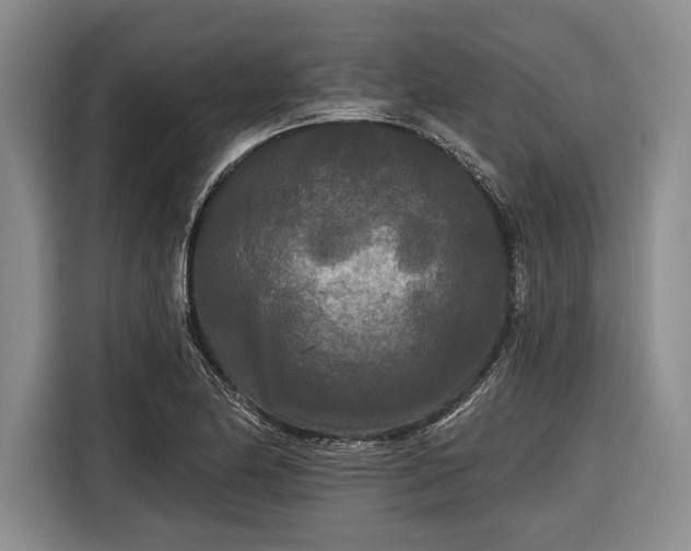 X0000116571174200912171458