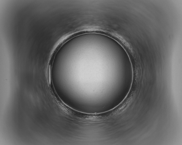 X0000116571175200912171458