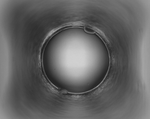 X0000116571176200912171458