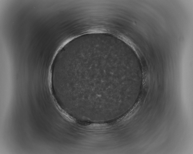 X0000116571179200912171458