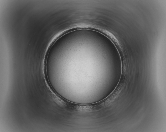 X0000116571183200912171458