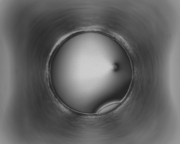 X0000116571184200912171458