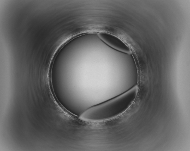 X0000116571189200912171457