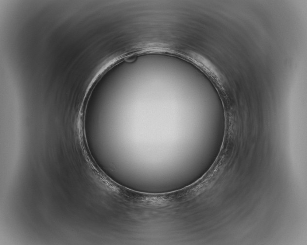 X0000116571190200912171457