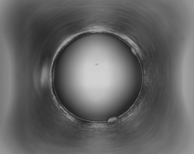 X0000116571191200912171457