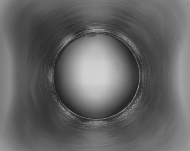 X0000116571193200912171457