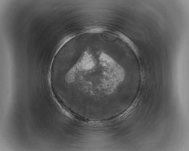 X0000116571194200912171457