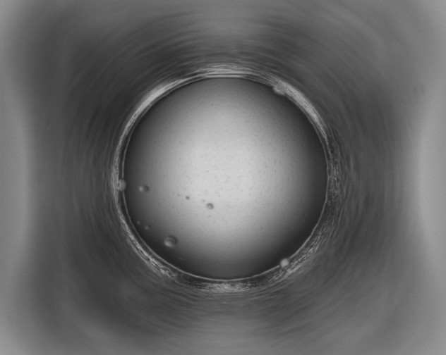 X0000116571195200912171457