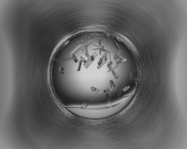 X0000116571196200912171457