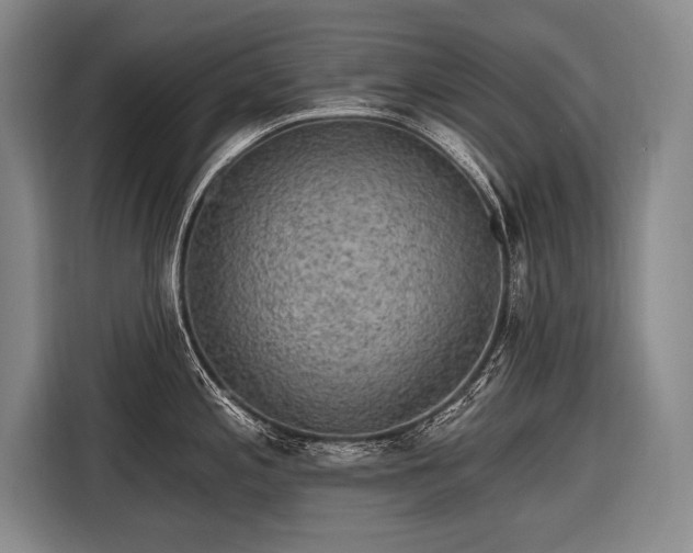 X0000116571197200912171457