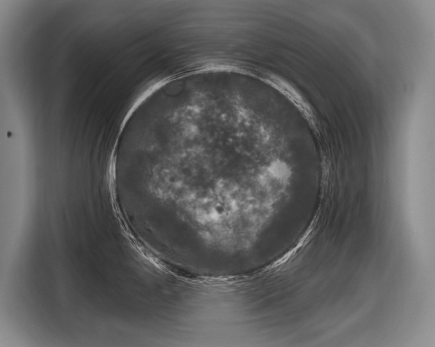 X0000116571198200912171457