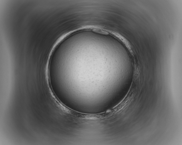 X0000116571199200912171457