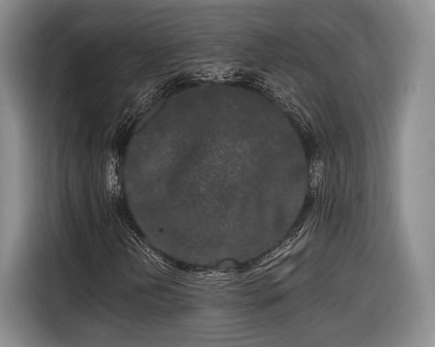 X0000116571202200912171457