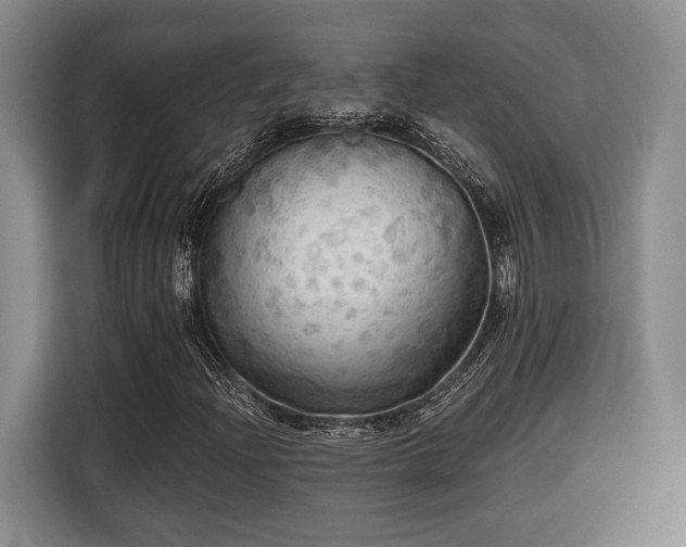 X0000116571204200912171457