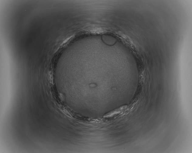 X0000116571205200912171457