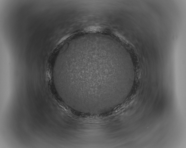 X0000116571206200912171457