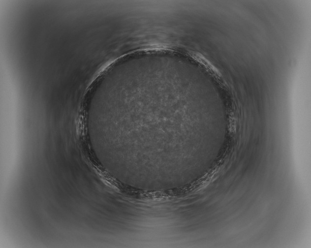 X0000116571208200912171457