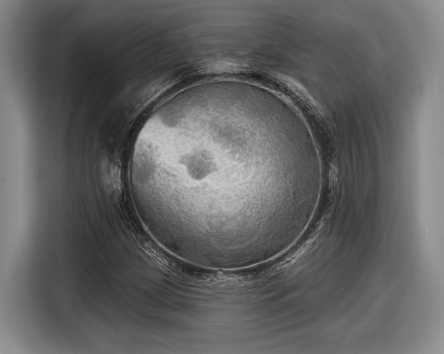 X0000116571209200912171457