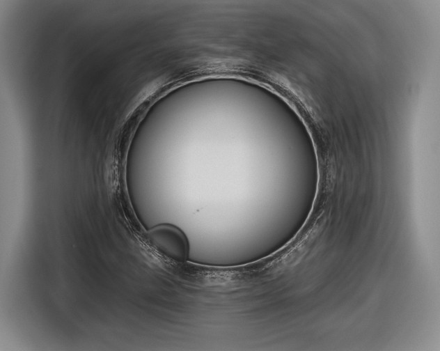 X0000116571211200912171457