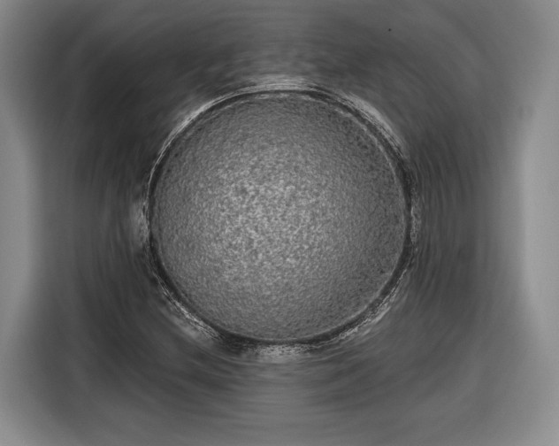 X0000116571212200912171457