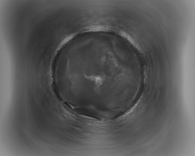 X0000116571213200912171457