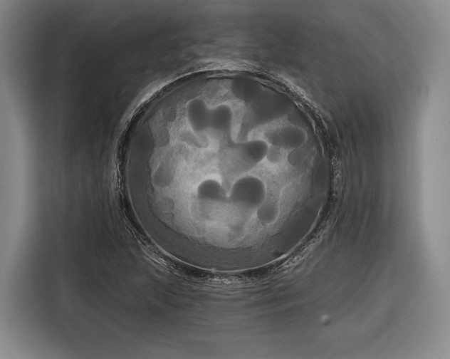 X0000116571215200912171457