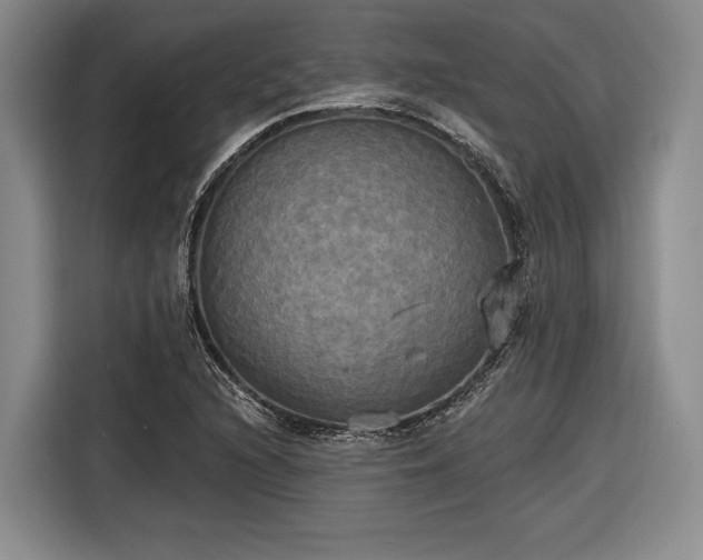 X0000116571216200912171457