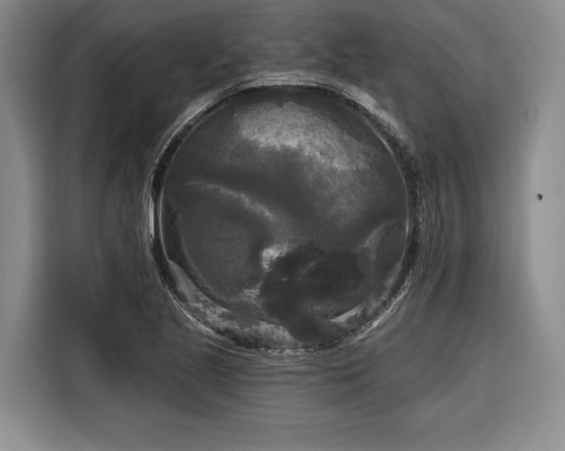 X0000116571221200912171457