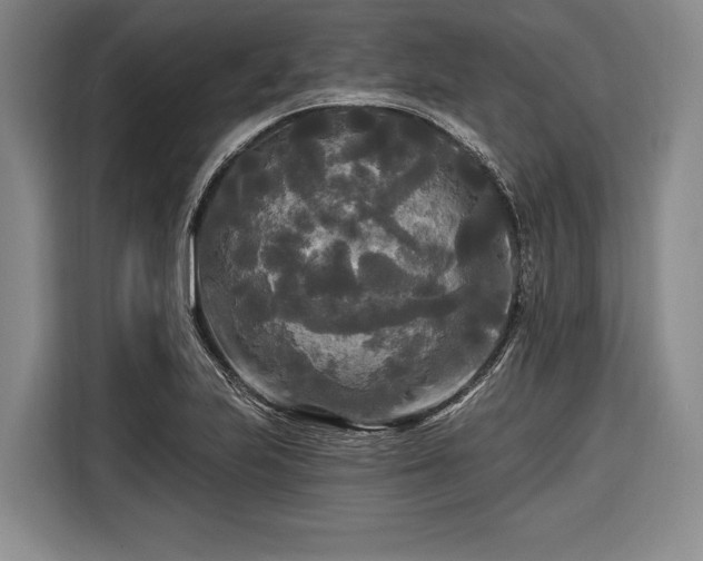 X0000116571223200912171457