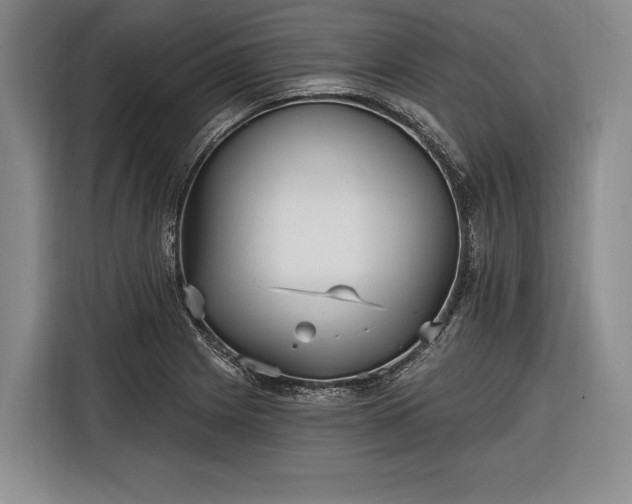 X0000116571225200912171457