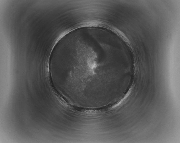 X0000116571226200912171457