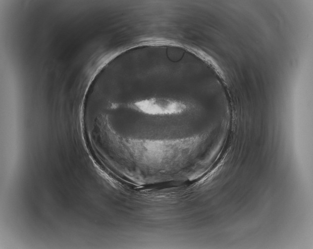 X0000116571231200912171457