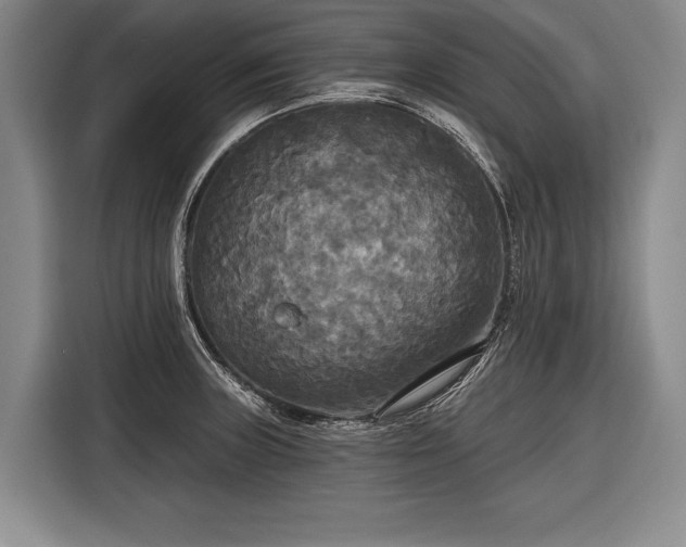 X0000116571235200912171457