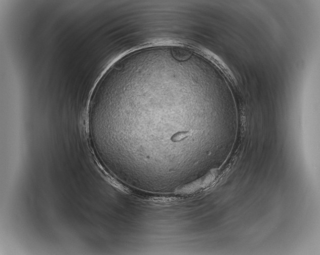 X0000116571236200912171457