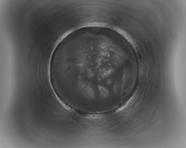 X0000116571237200912171457