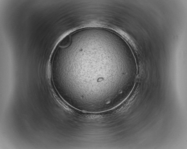 X0000116571238200912171457