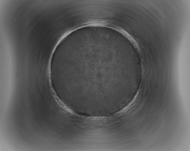 X0000116571240200912171457