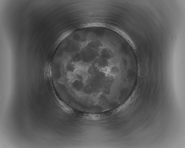 X0000116571241200912171457