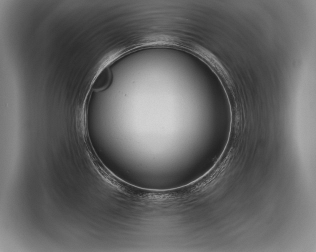 X0000116571242200912171457