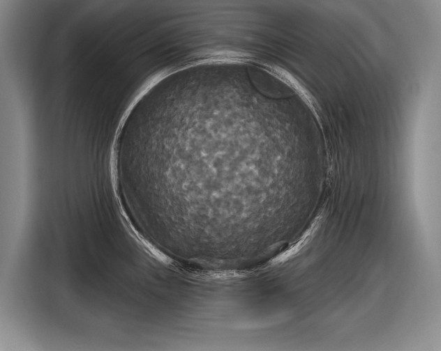 X0000116571243200912171457