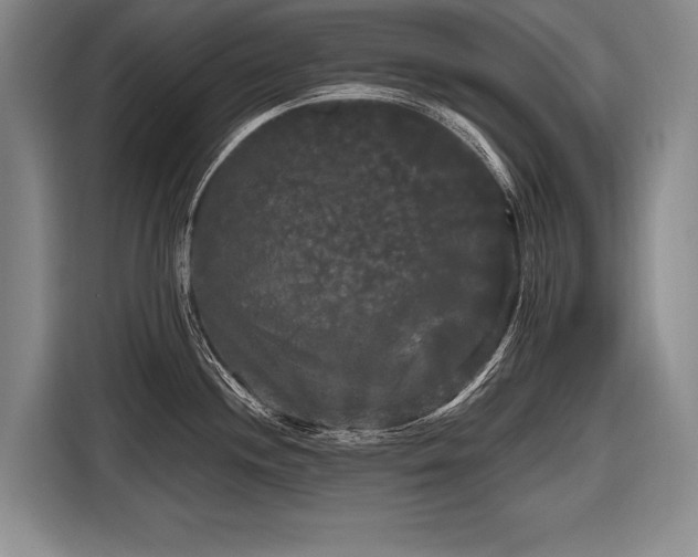 X0000116571244200912171457