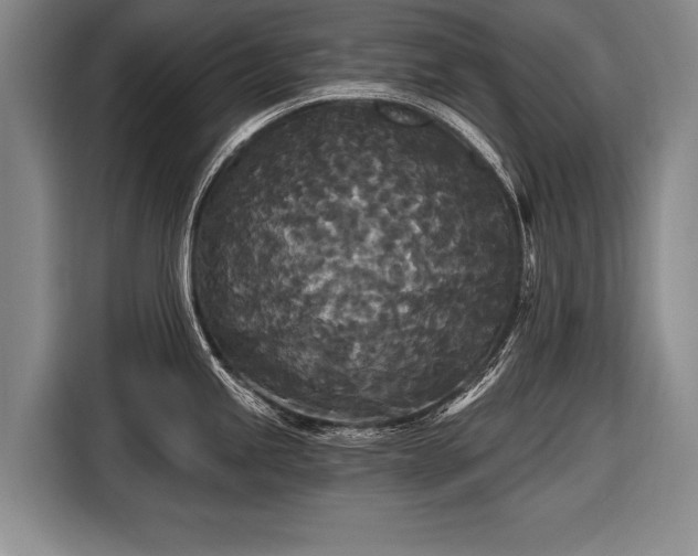 X0000116571245200912171457