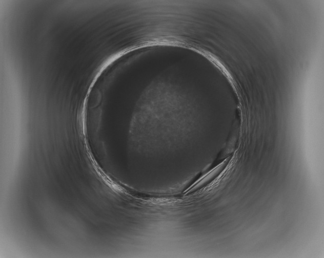 X0000116571246200912171457