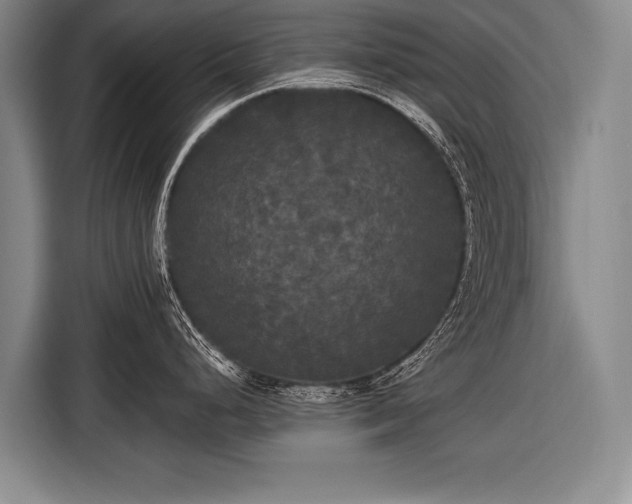 X0000116571248200912171457