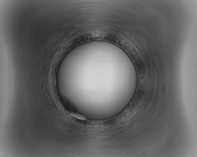 X0000116571249200912171457