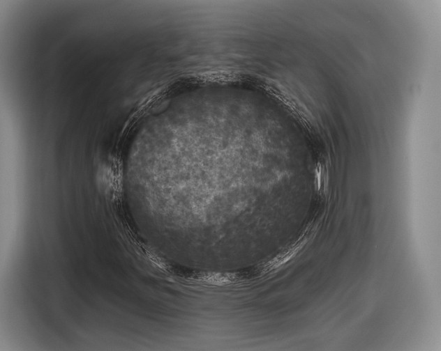 X0000116571251200912171457