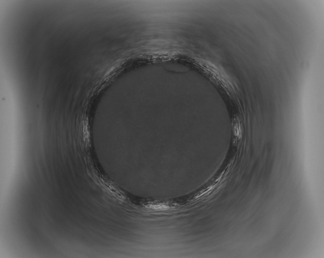 X0000116571252200912171457